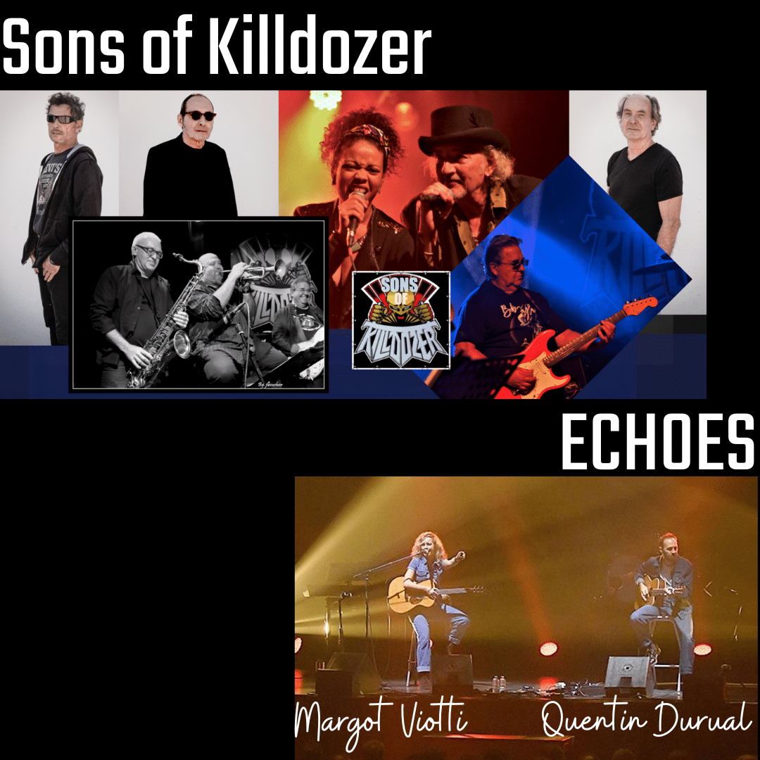 Concert Sons of Killdozer et Echoes